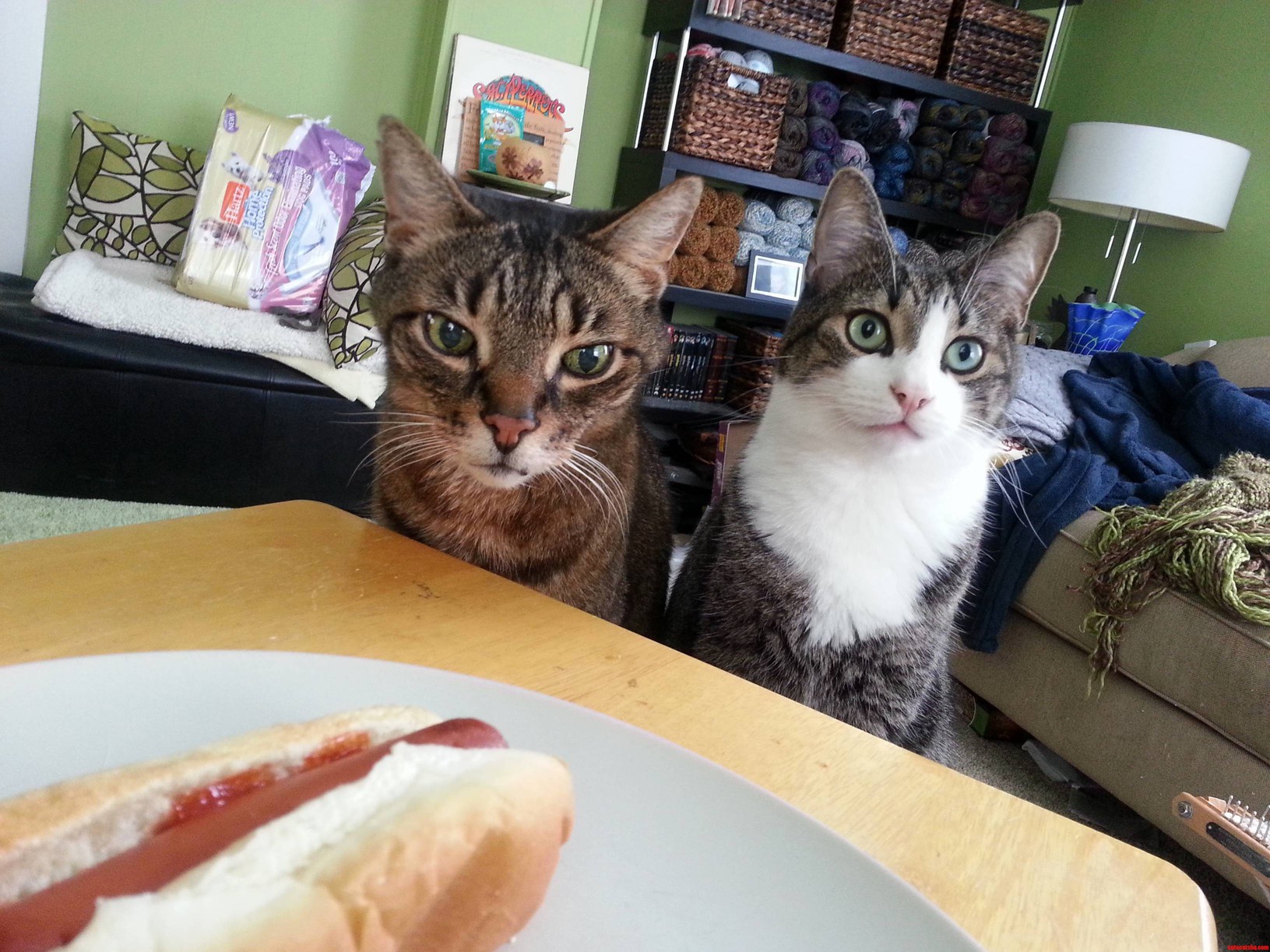 Youre Having Hot Dogs We Like Hot Dogs