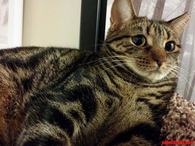 Andy Has Asked That I Stay Out of His Personal Space but He Is Just Too Cute.