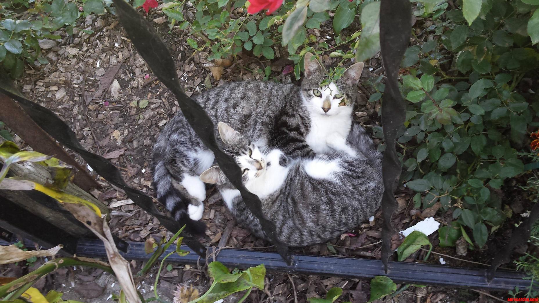 Came Home to These Two Loving Siblings