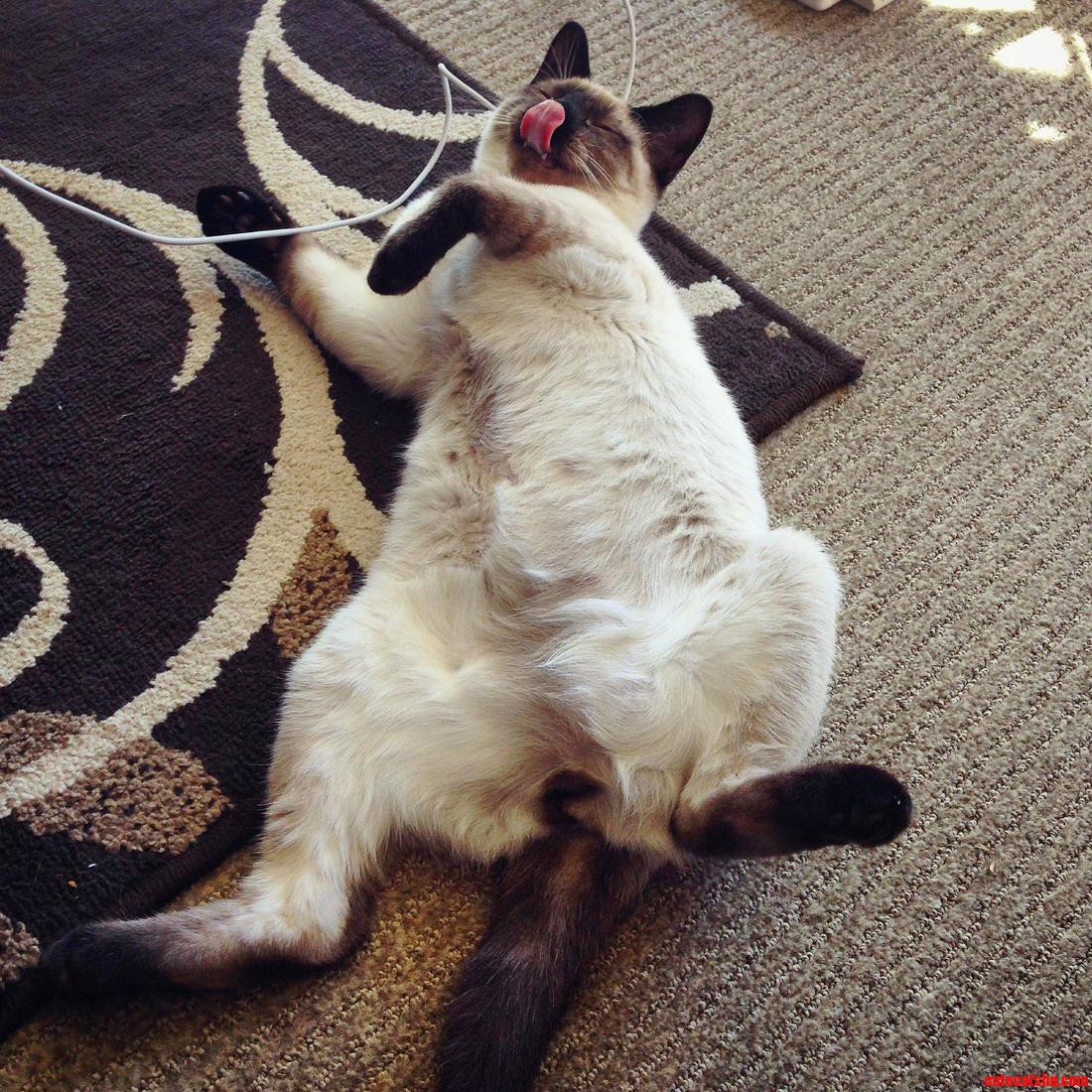 Draw Me Like One of Your French Girls.