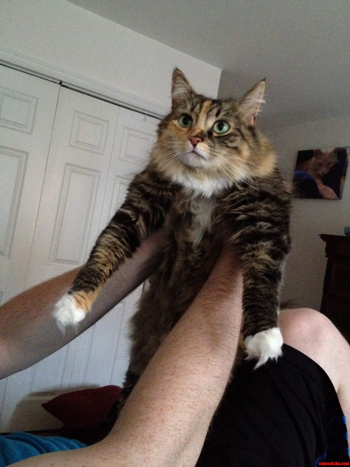 Dumpling Clearly Loves When We Do This to Her