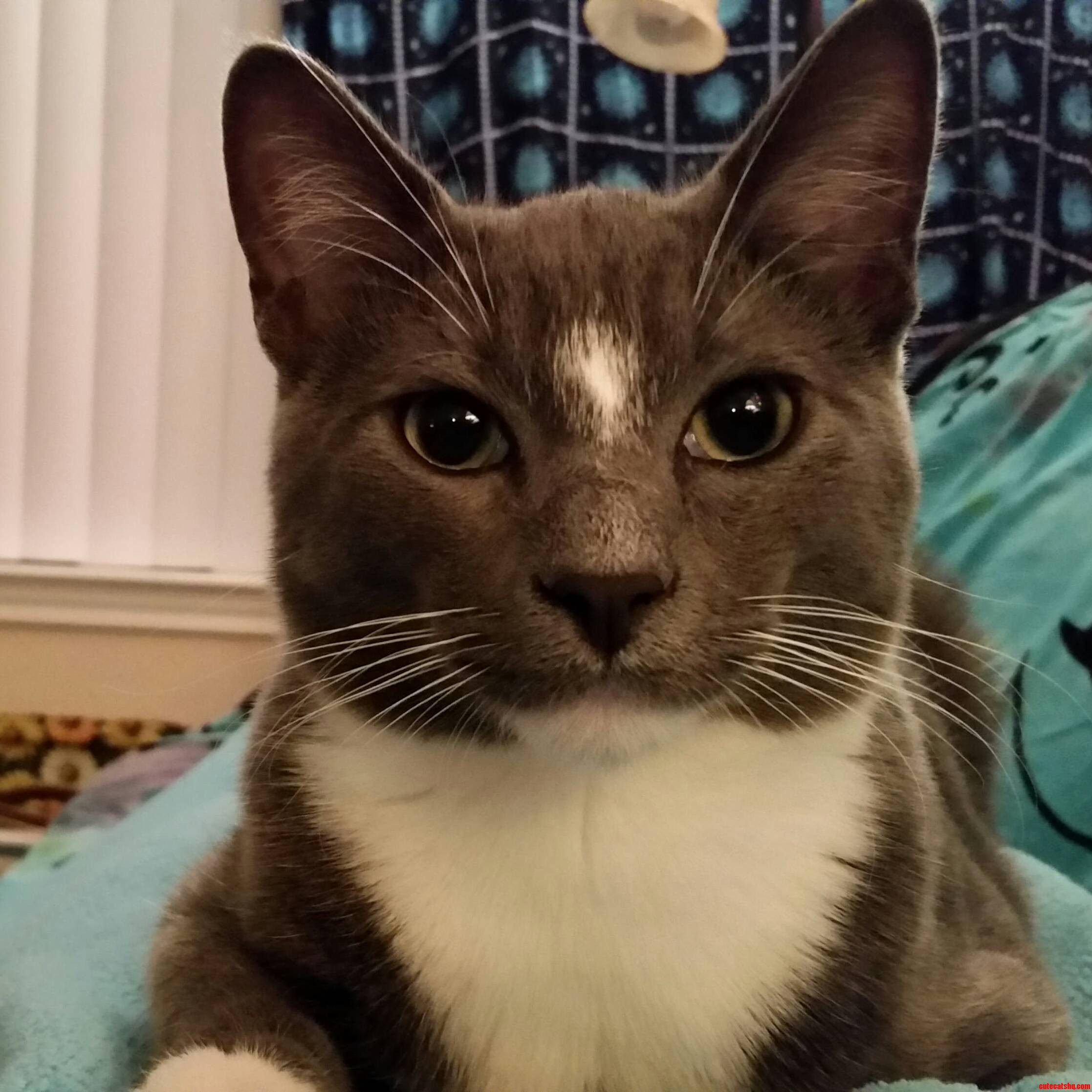 El Pablo
