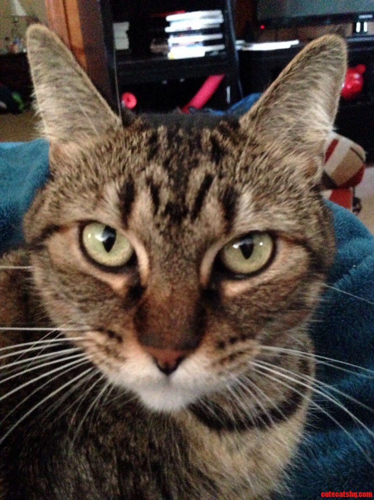 Four Year Old Buffy. She Has Her Moments.