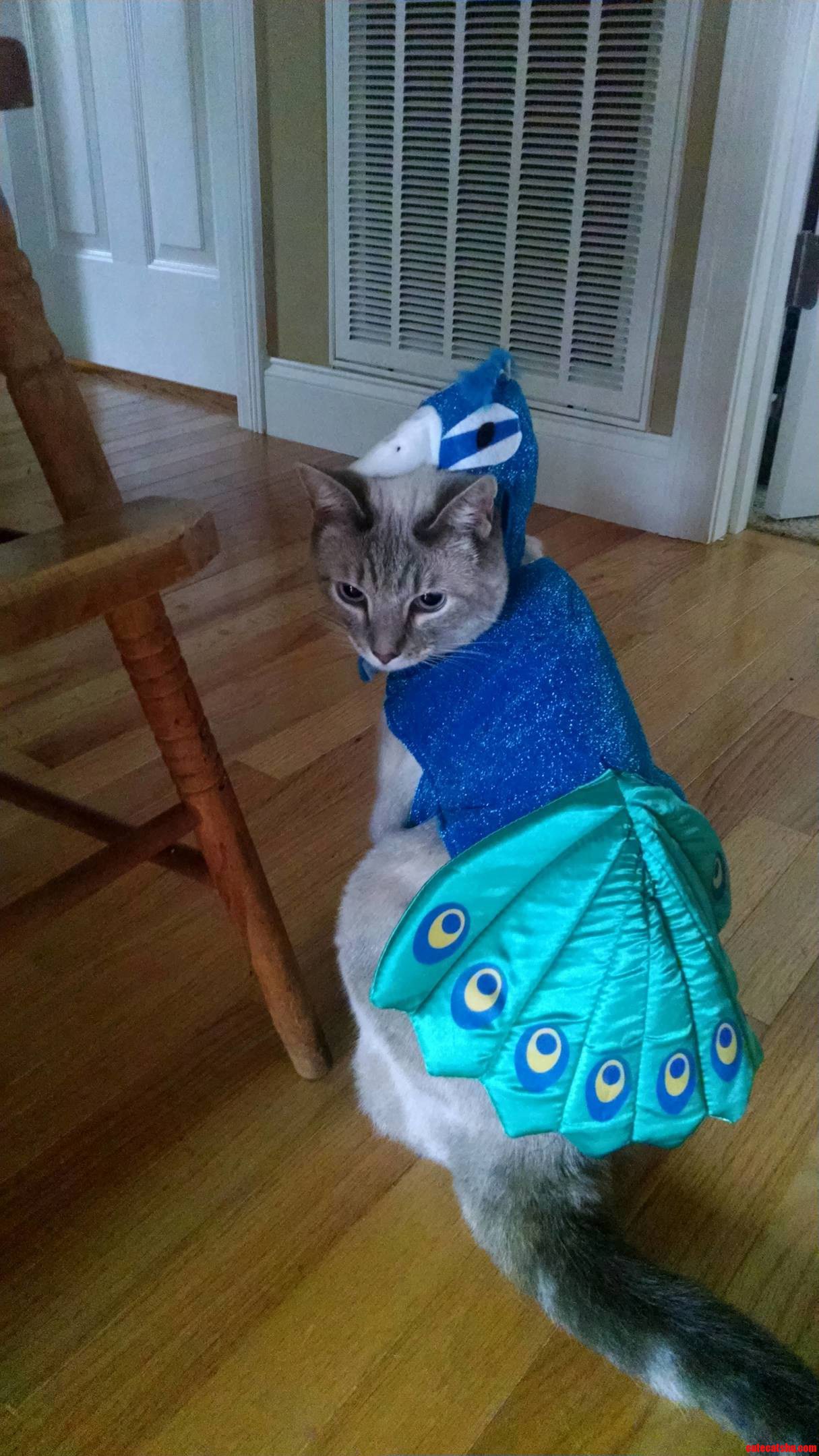 Halloween Is Almost Here