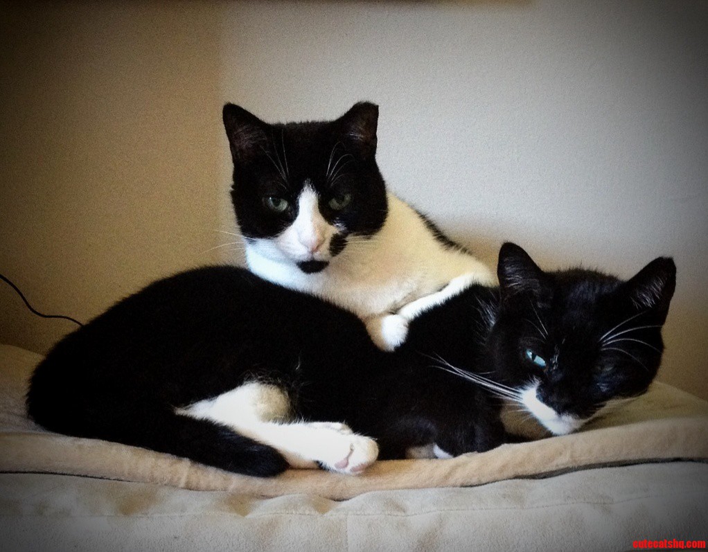 Hangin Out on Her Little Brother.