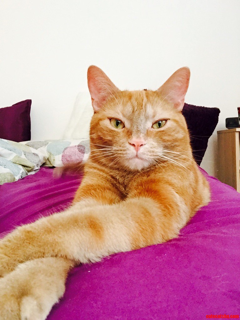 He Wont Admit It but He Loves Posing