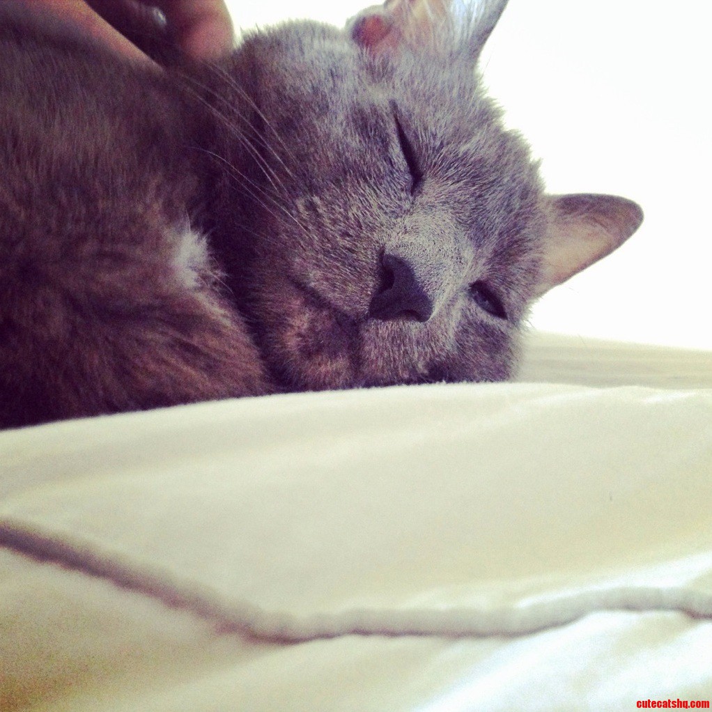 Heres Another One of My Favorite Pictures of Smokey
