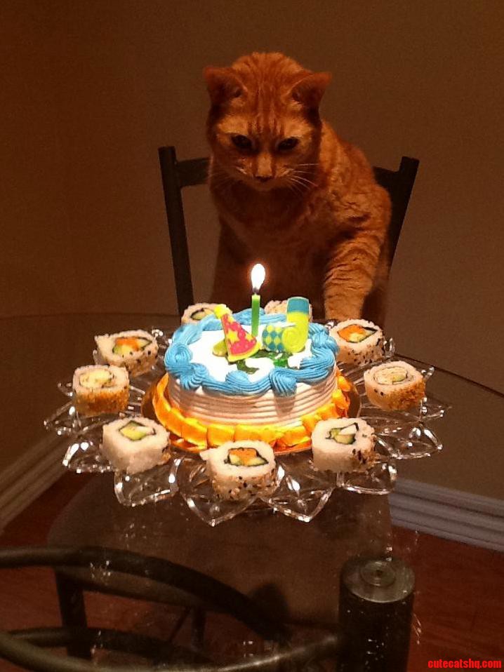 Hes 14 Now.