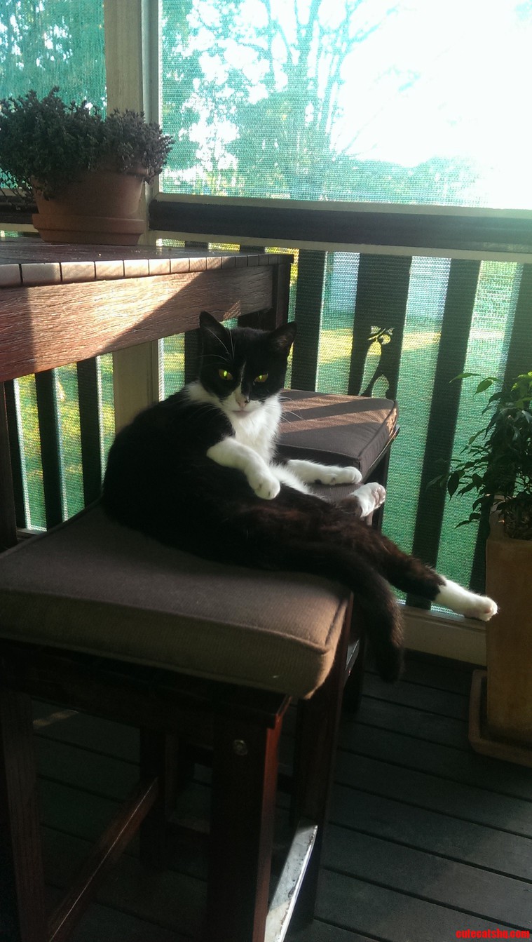 Hi There. Come Here Often