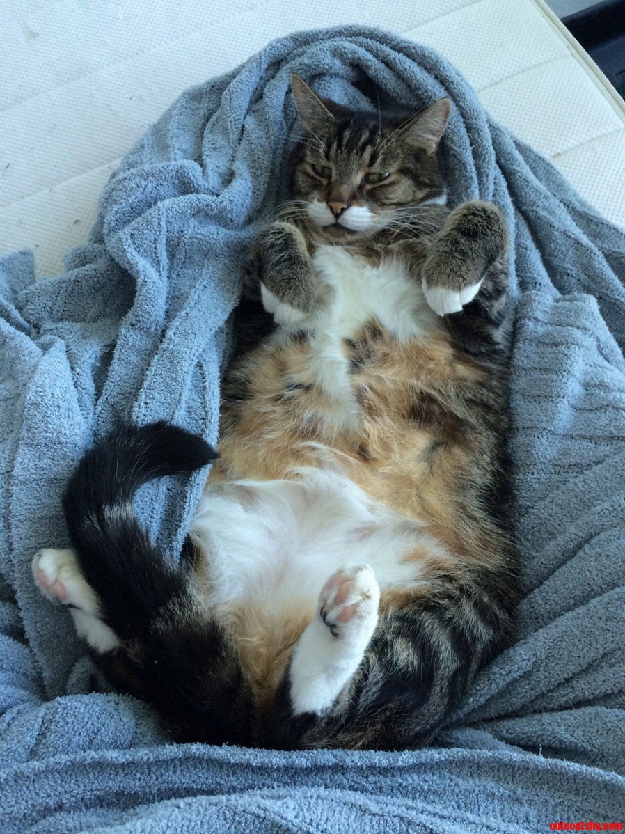 His Morning Routine Is Better Than Mine.