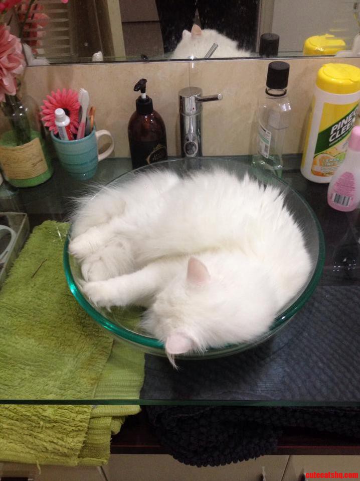 I Uhh... Guess I Ll Go Brush My Teeth in the Kitchen Then.