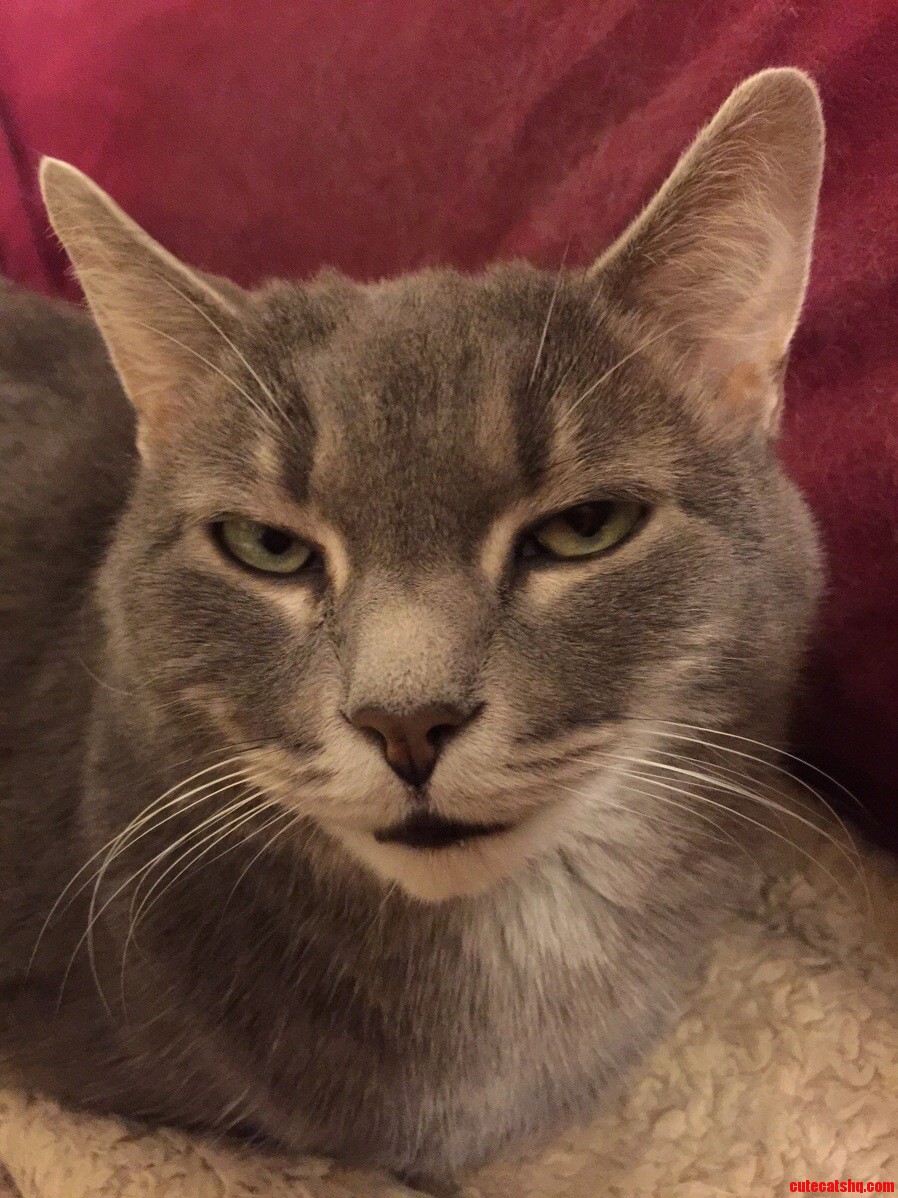 If Looks Could Kill...
