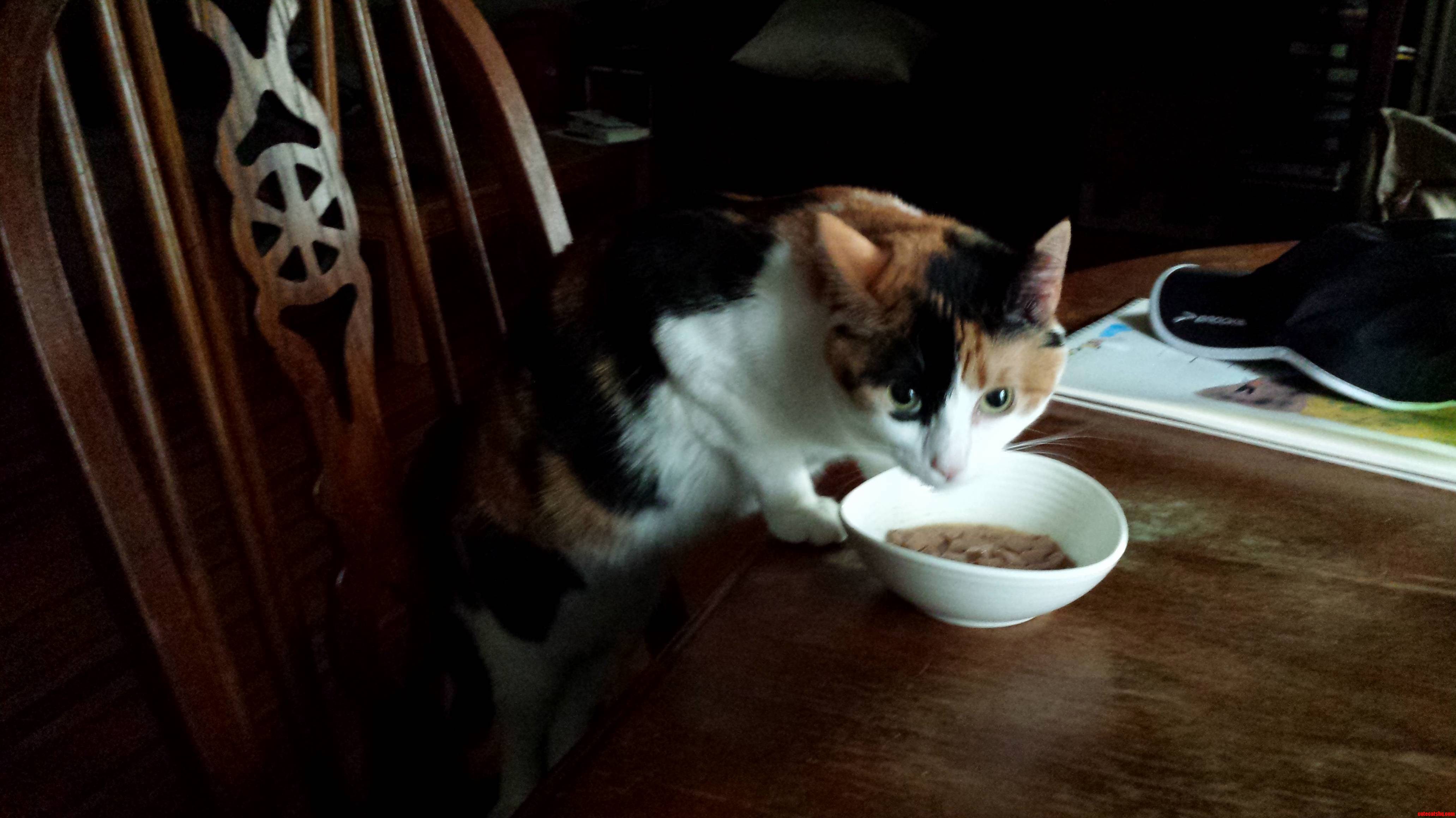 It Started As a Joke but Now Eleanor Seems to Prefer Having a Place Set for Her at the Table