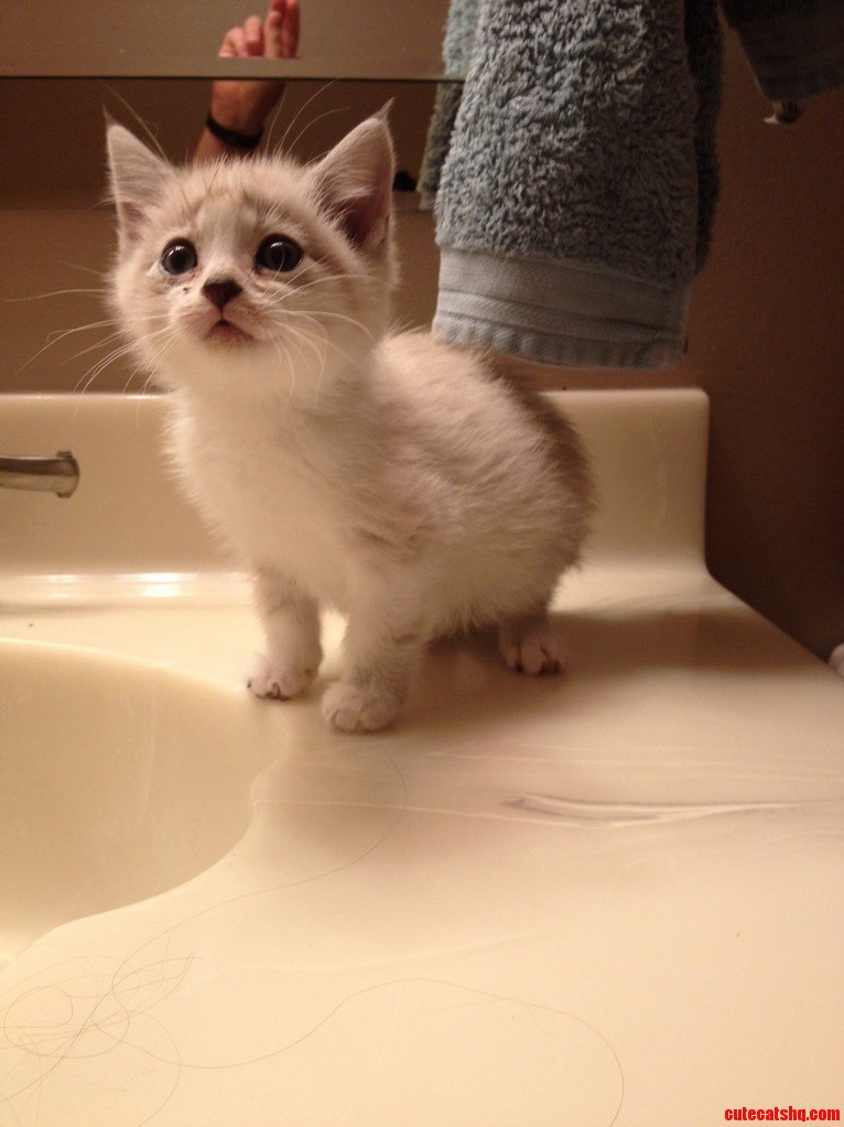Just Got This Little Girl and She Doesnt Have a Name Yet. Any Suggestions