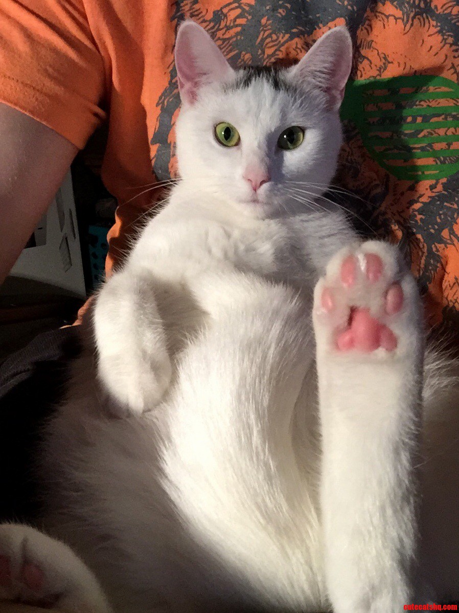 Just Hanging Out