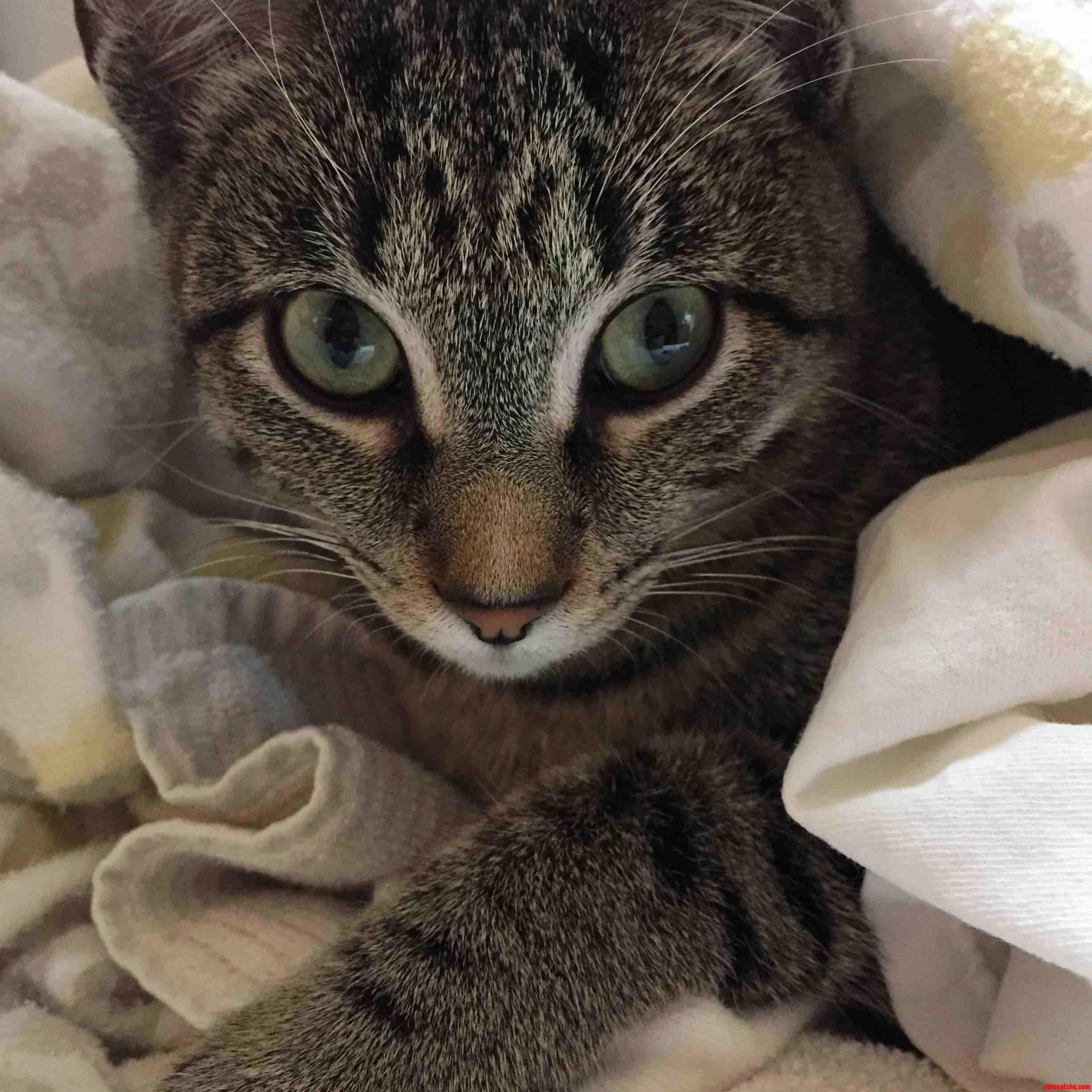 Keeping Warm in the Sheets and Towels Fresh from the Dryer