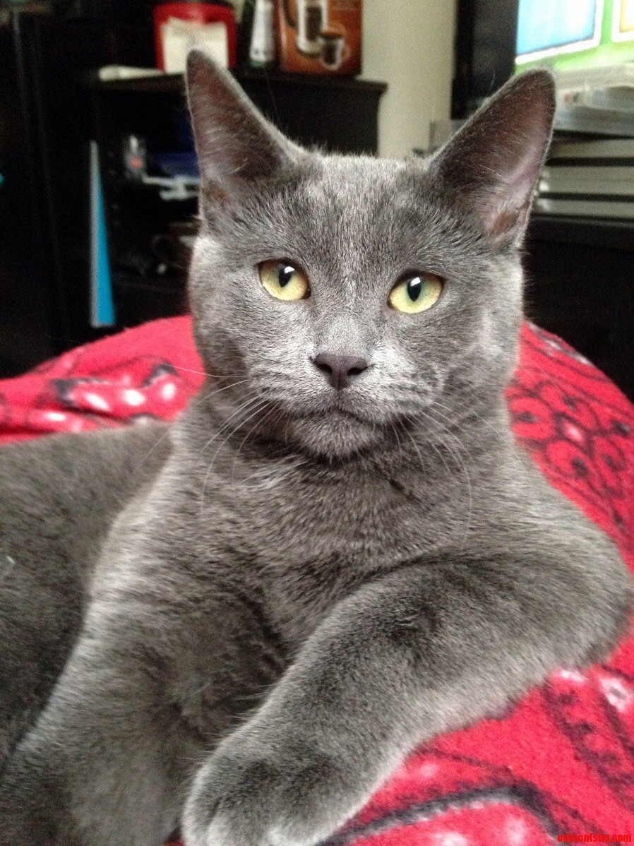 Lamar aka Little Dude. He Is Pretty Photogenic.