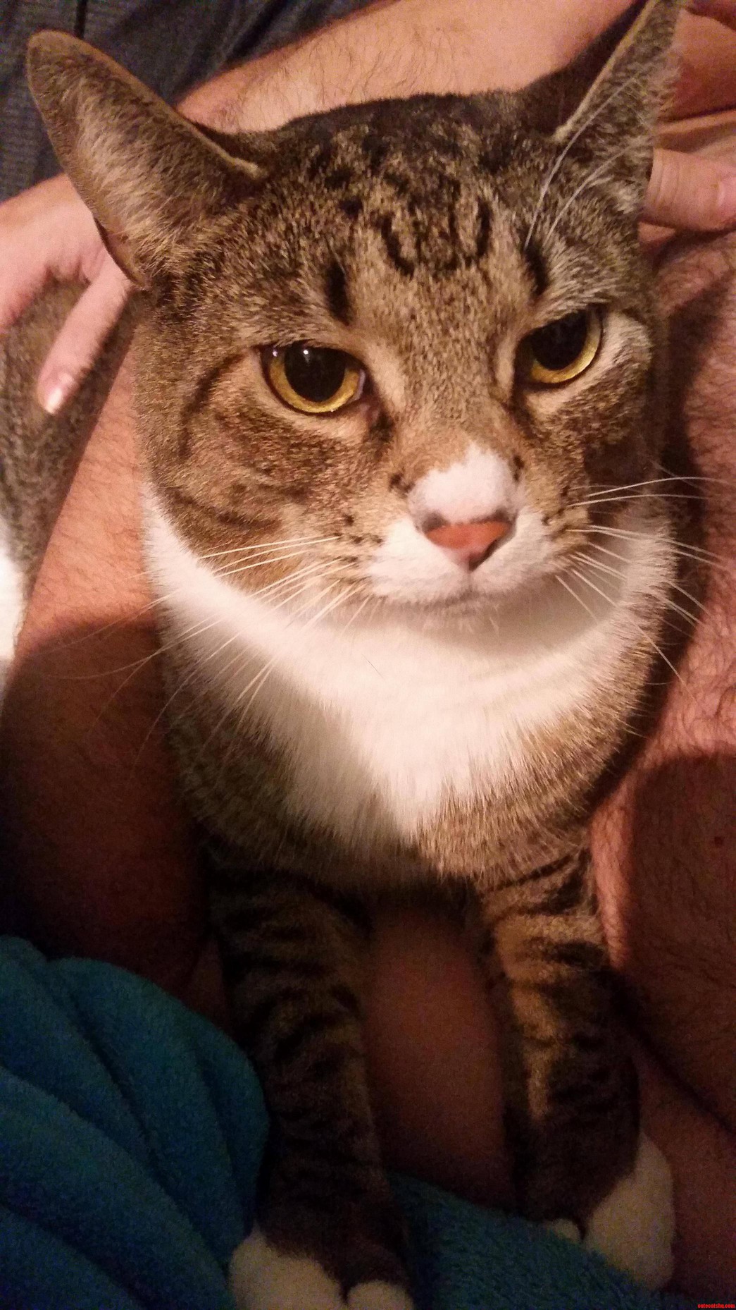 Liam Is So Over This Cuddle Fest.