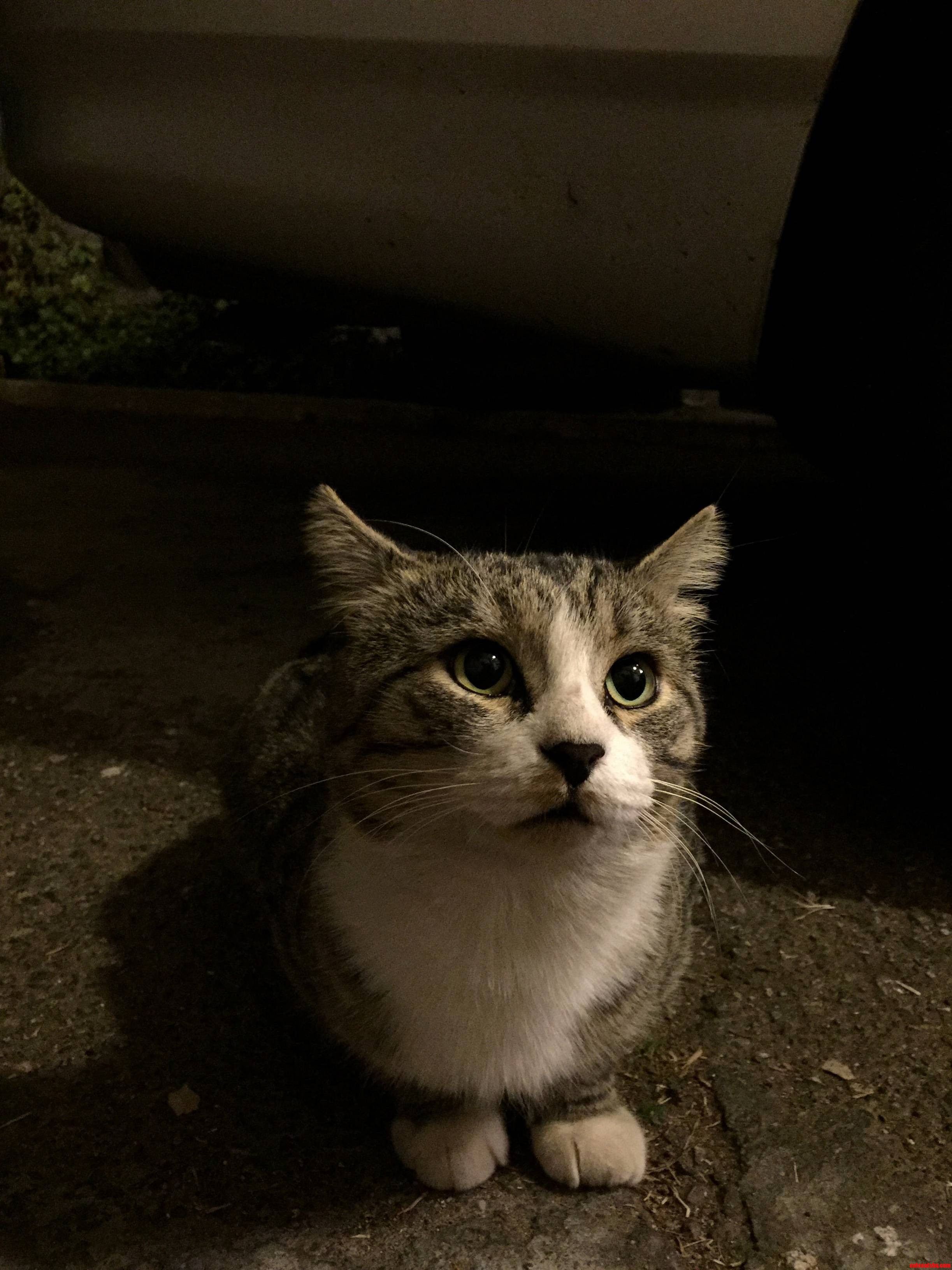 Look at His Face