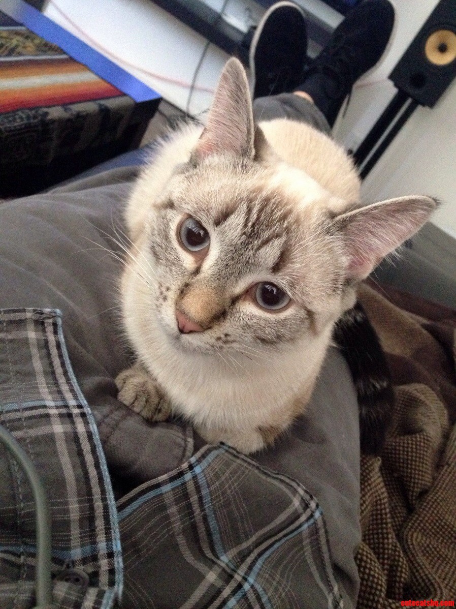My Best Friend and Roommate.