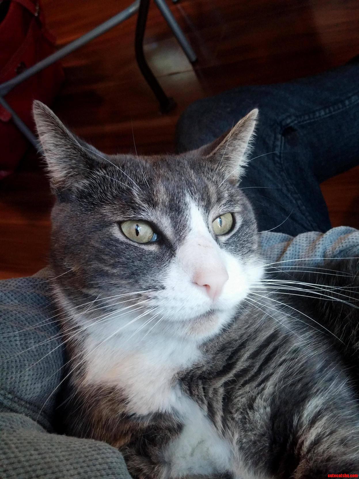 My Handsome Guy Alce