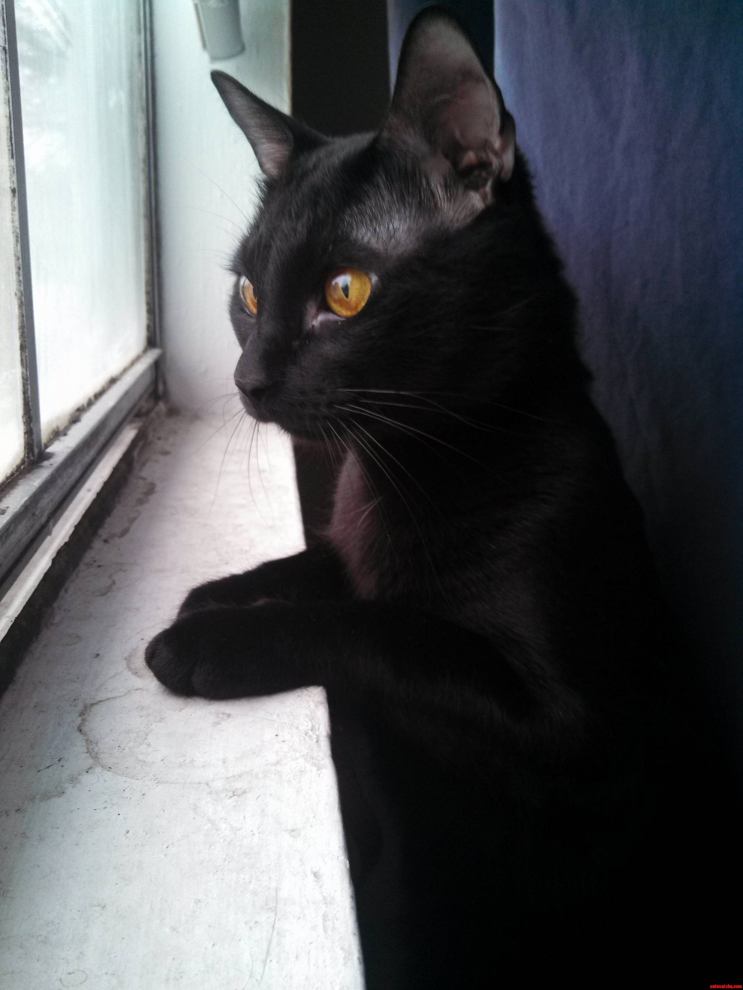My Protector Bernard.