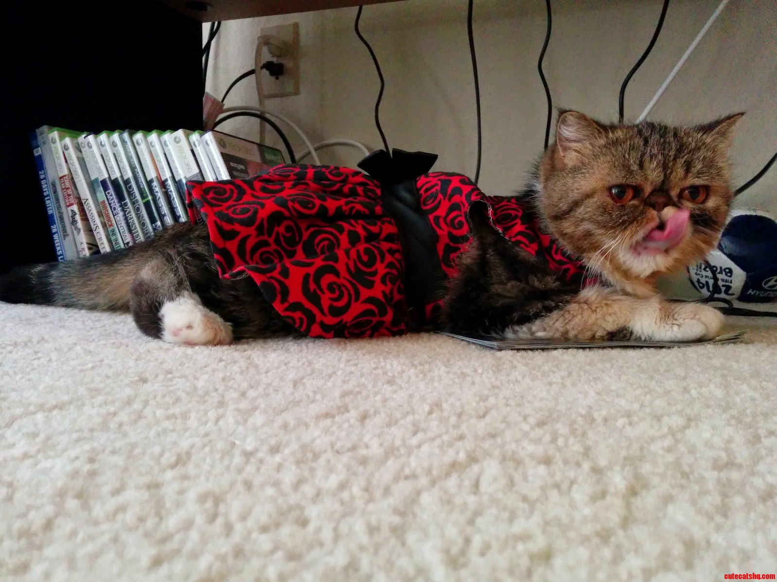 My Whittle Gurl Persephone