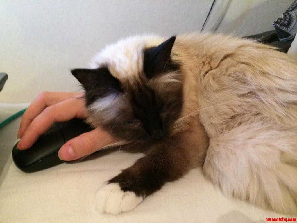 No Internet for You More Loves