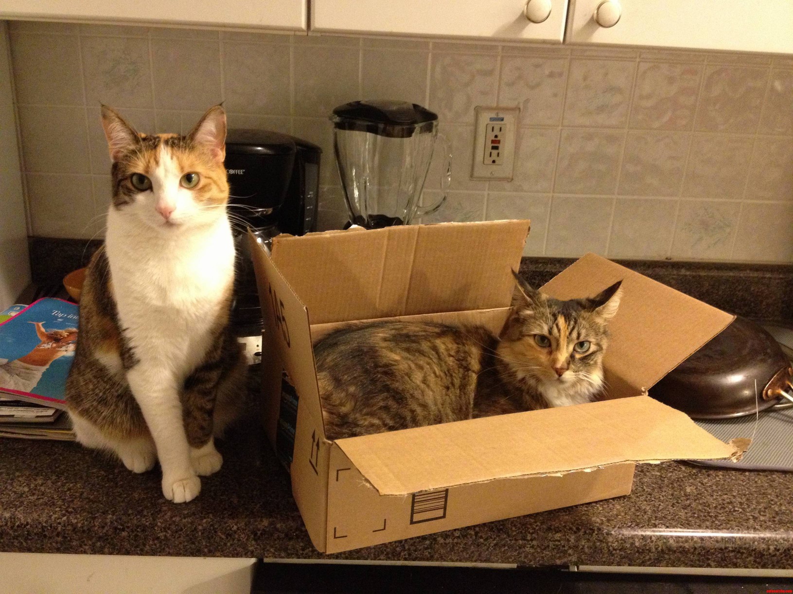 Nothing to See Here....