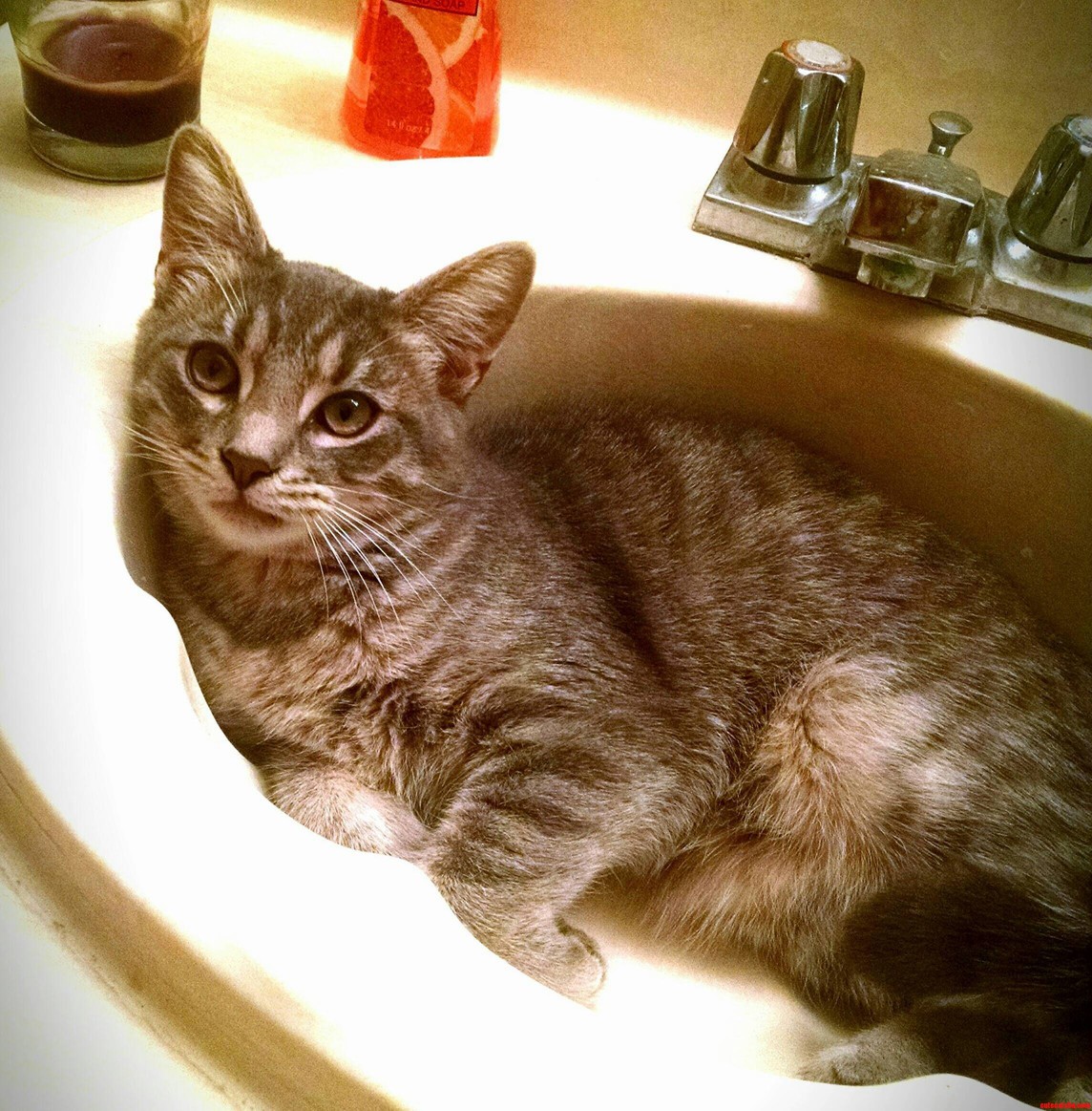 Our Morning Routine