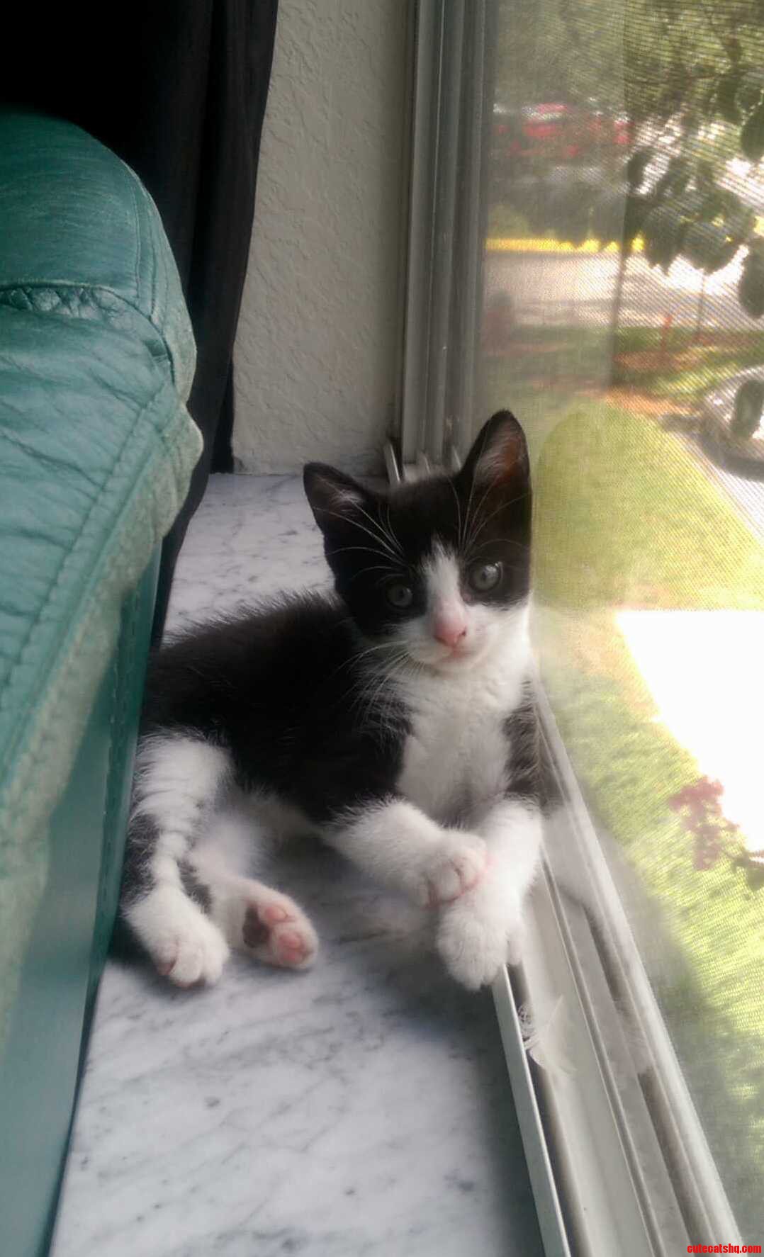 Our Munchkin
