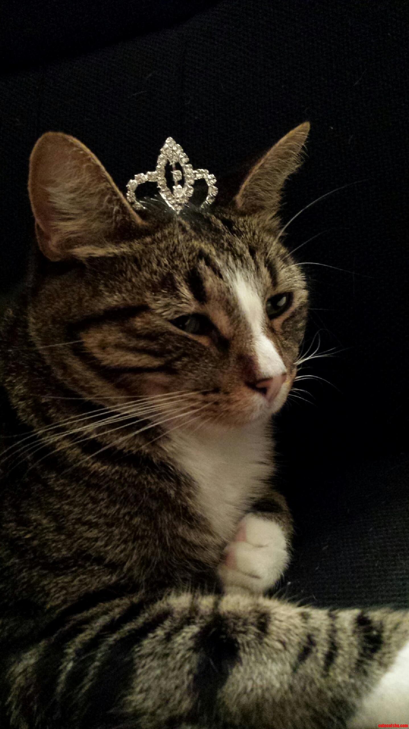 Princess Mindy