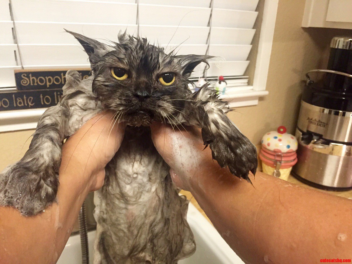 Reese Loves Bath Time.