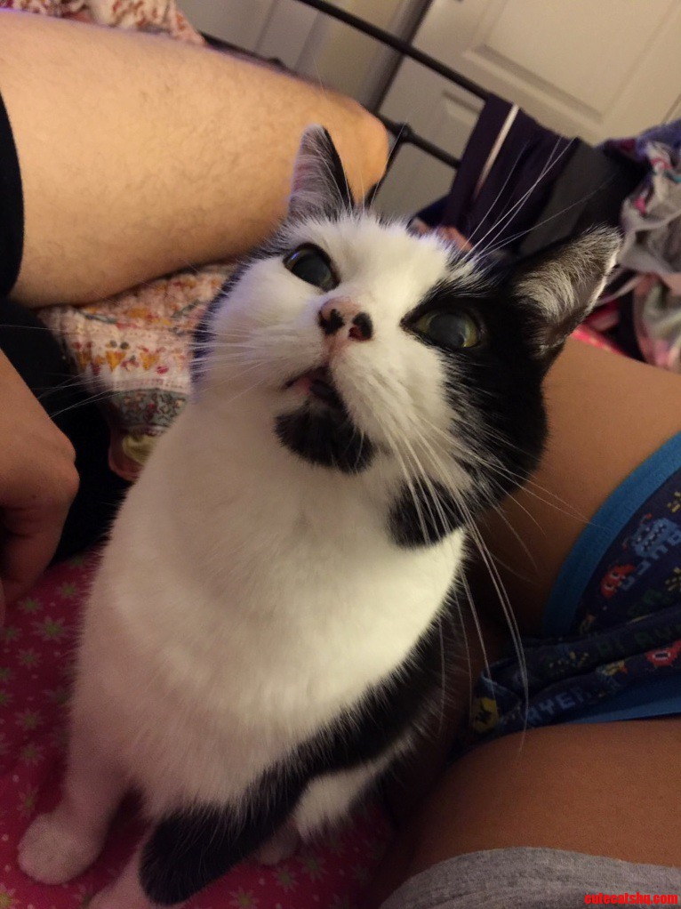 She Saw a Bug