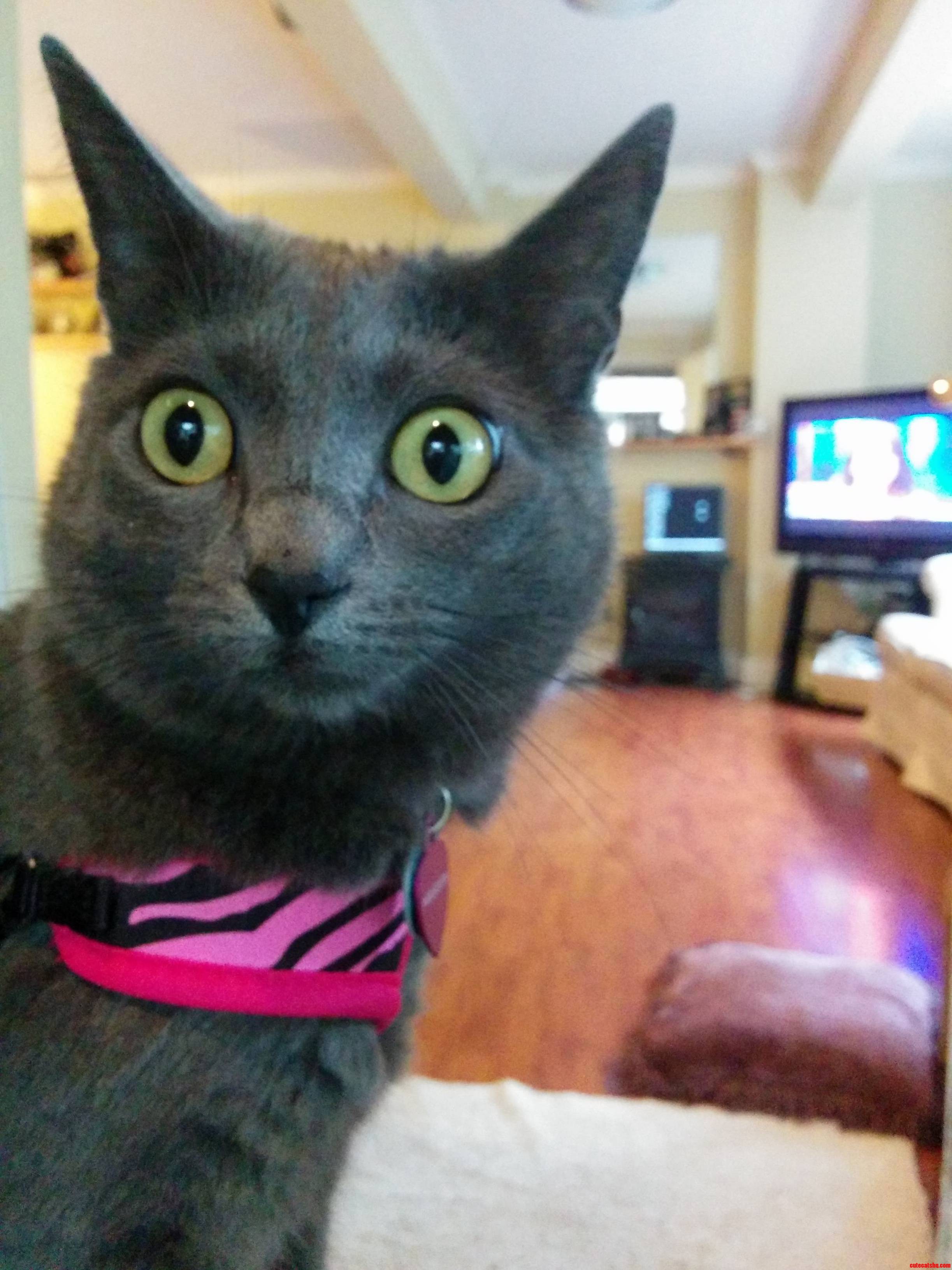 Shes Seen Some Stuff