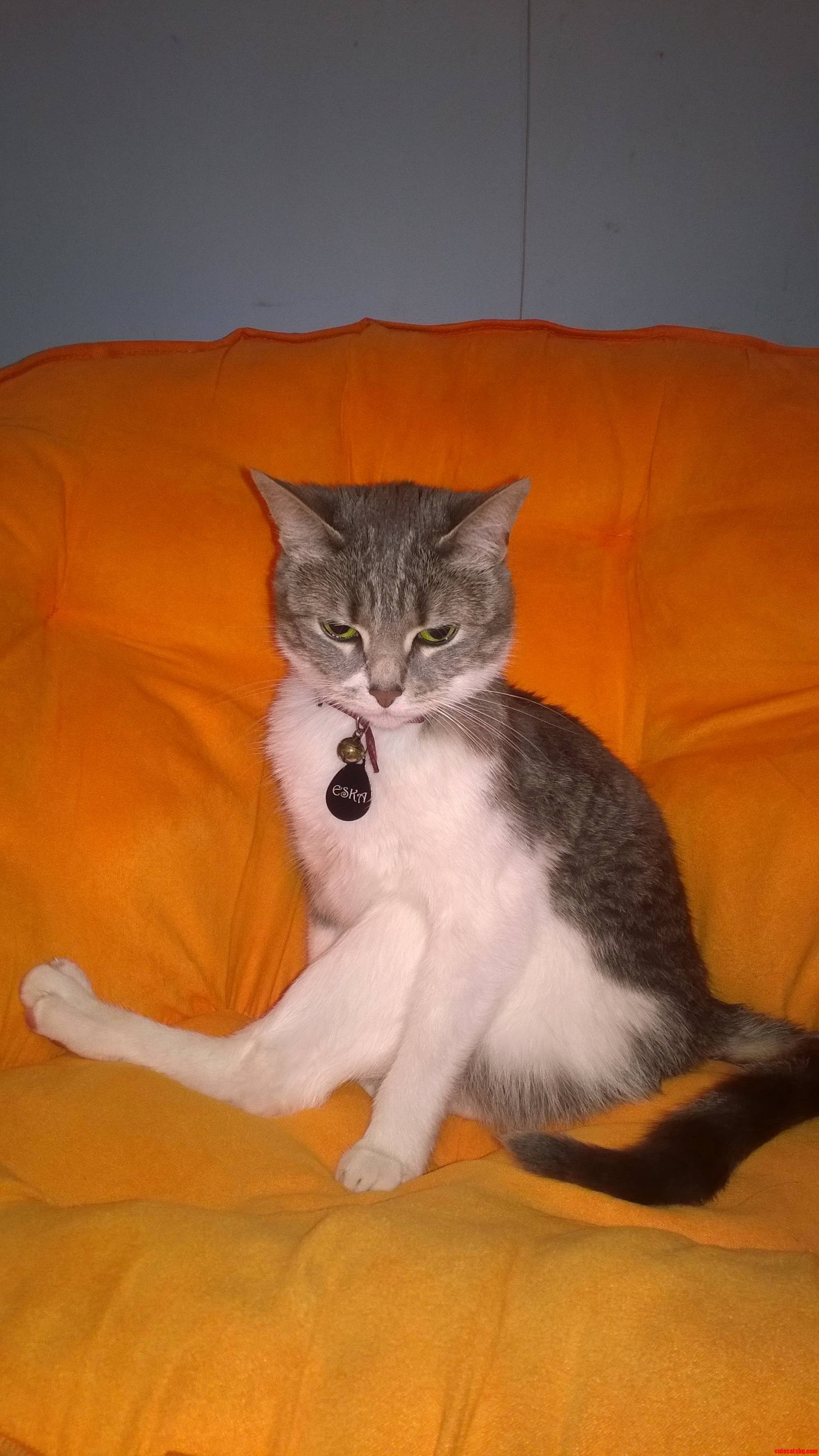 Showing Some Leg