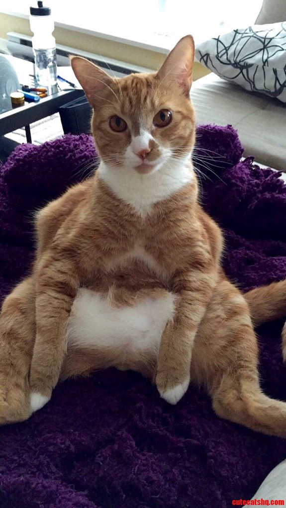 Sittin Pretty