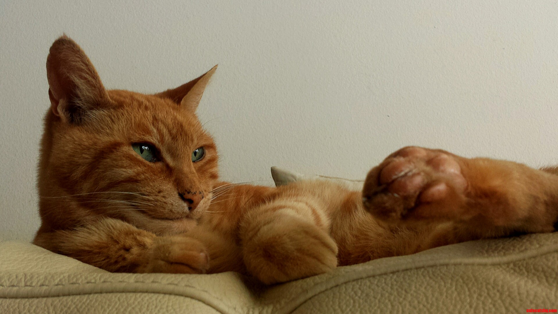 The Art of Lounge.
