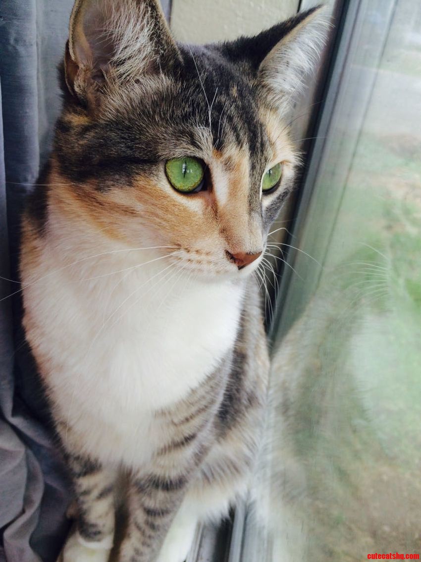 The Vibrance in Her Eyes Are Amazing