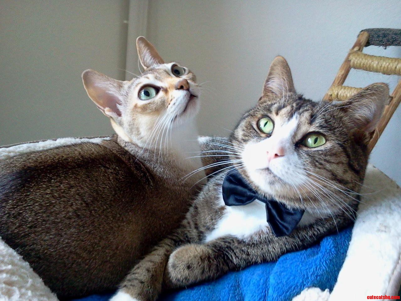 These Guys