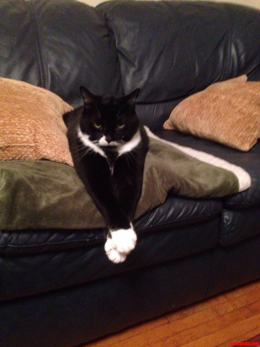 This Is How Tuck Sits and He Doesnt Care What You Think.