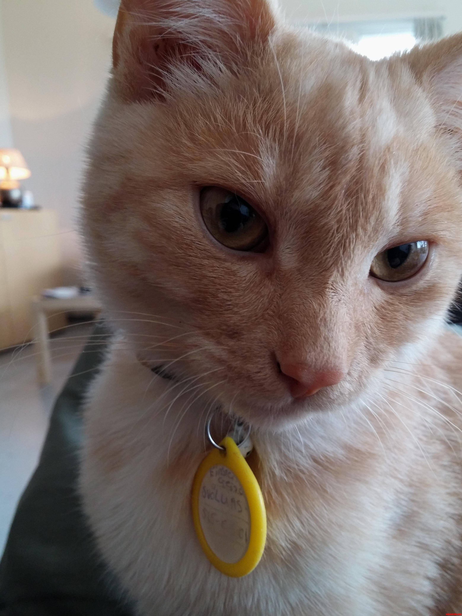 This Is My Co-worker Leo