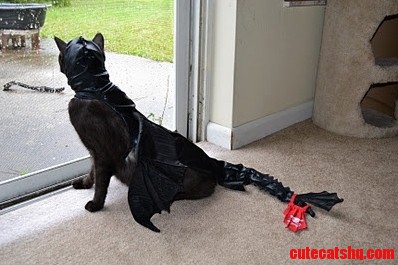 Toothless