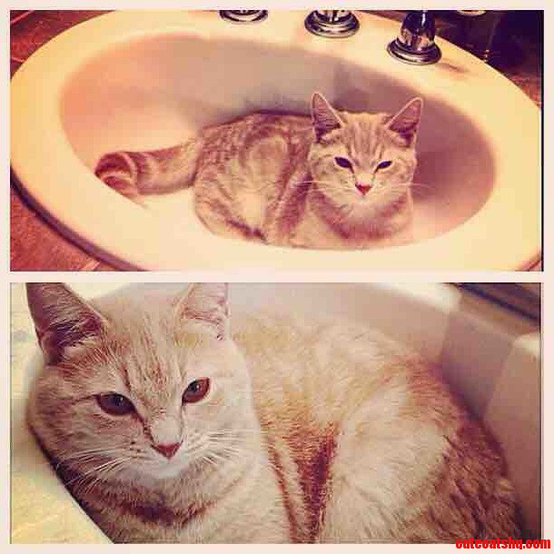 Two Years Ago Compared to Today