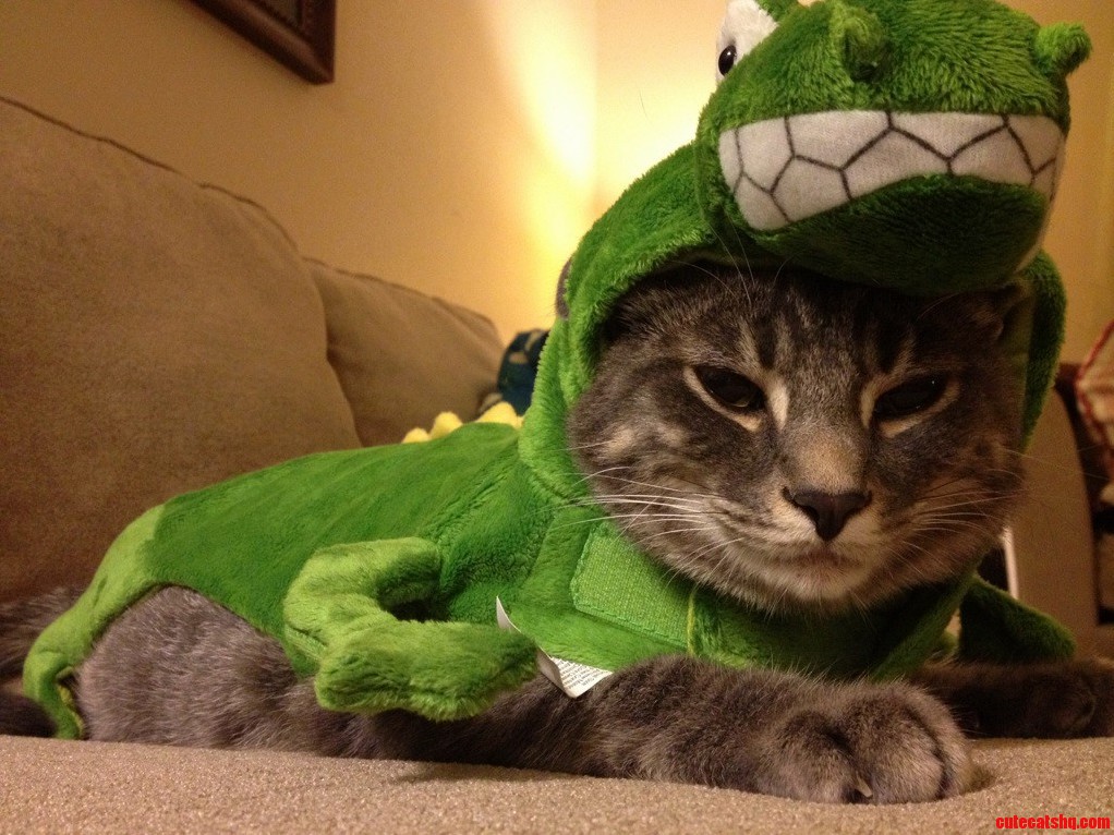 Tywin the Dino