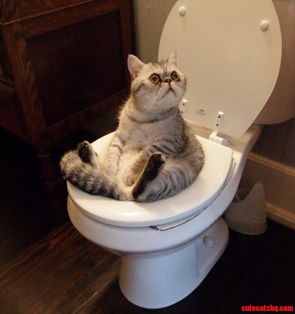 Umm Some Privacy Please.