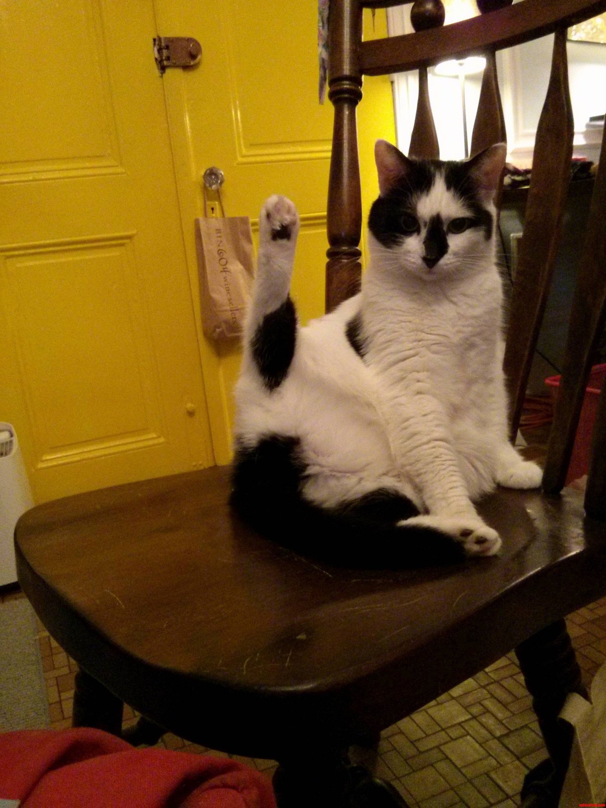 Usually Shes So Dainty...
