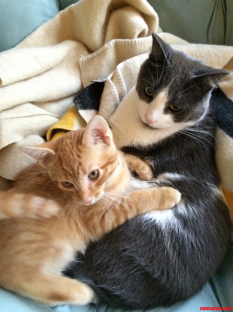 Warming Up to Each Other After a Week.