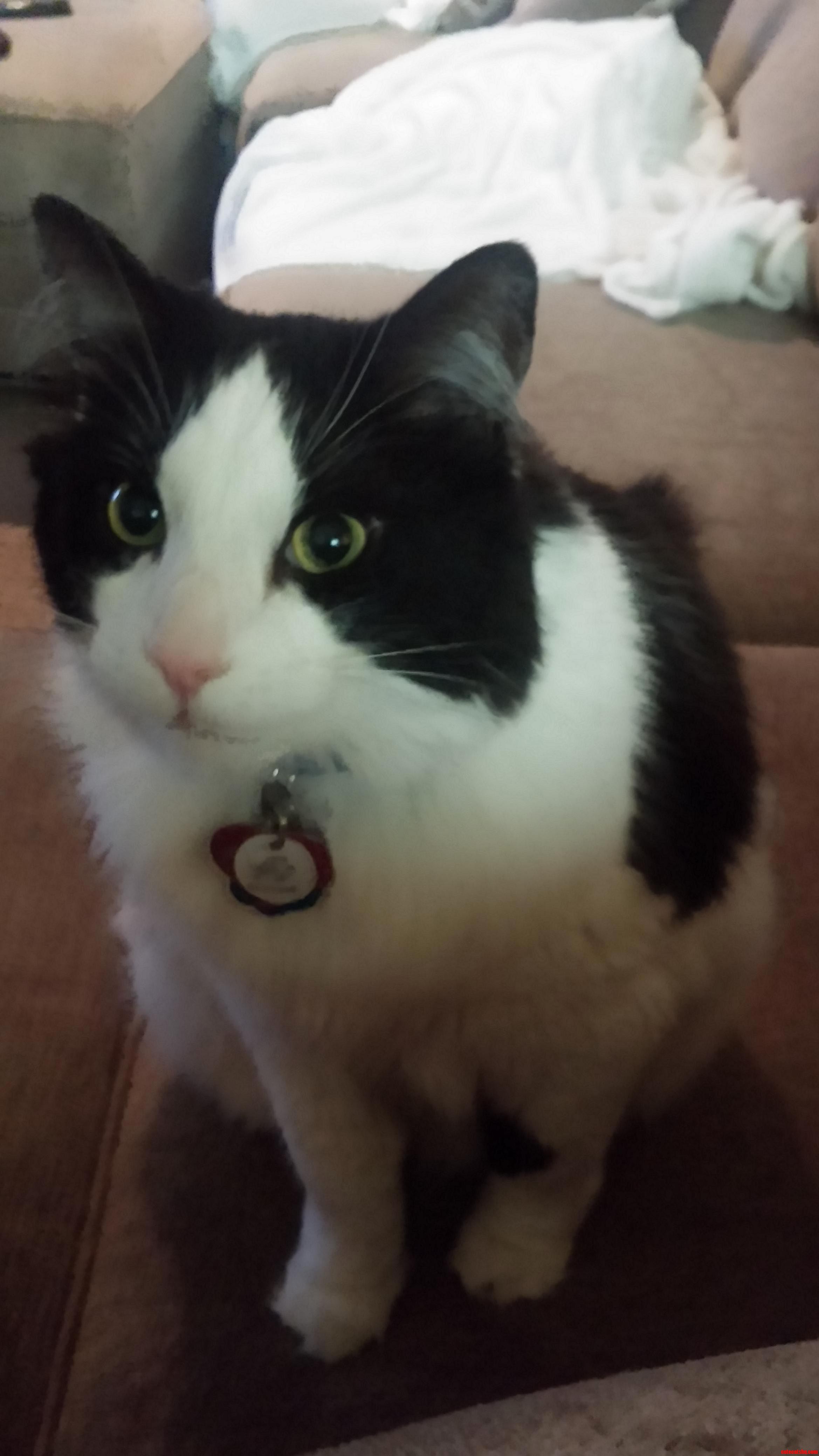 Warren Generally Doesnt Sit for Pictures but This Time He Nailed It.