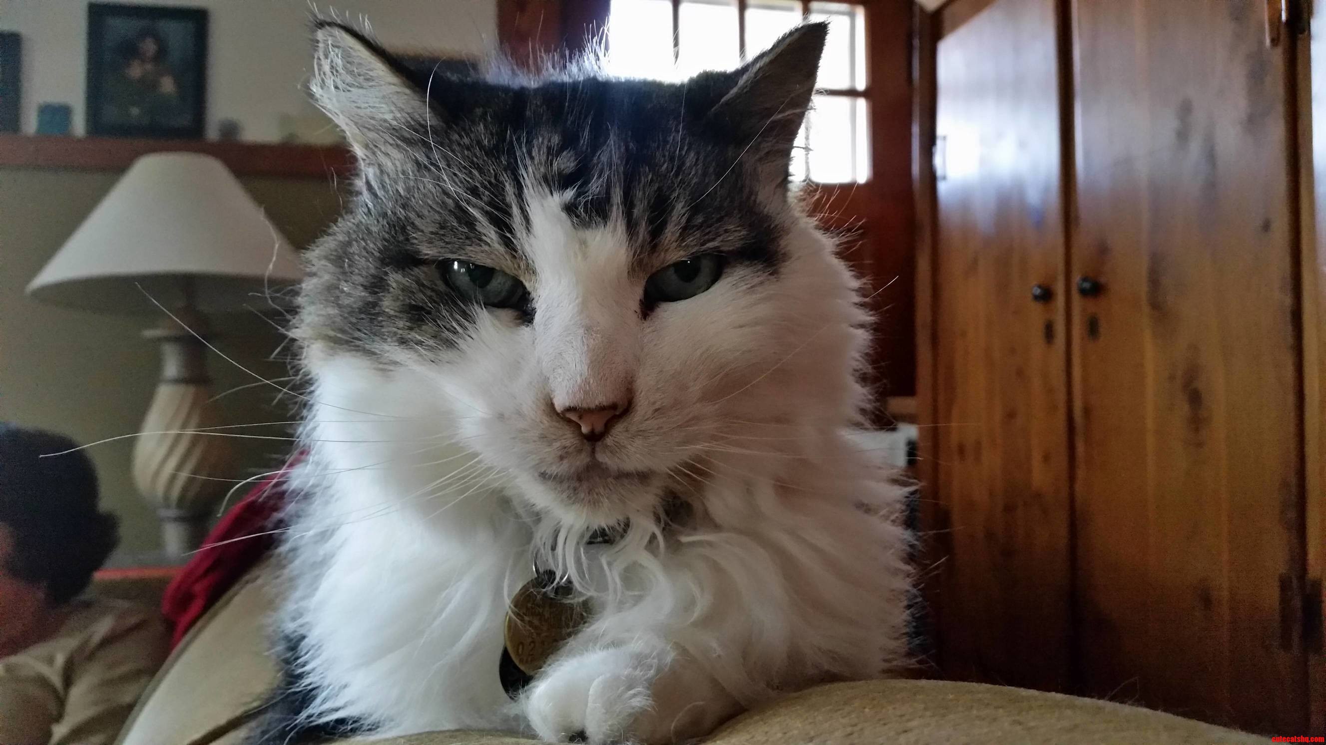William Is Not Amused